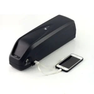 48V 13Ah Lithium-Ion Battery for Electric Bicycle