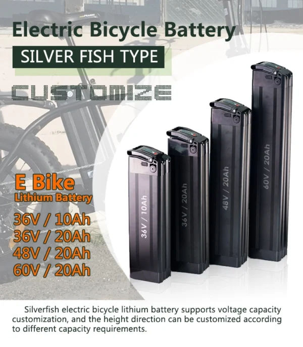 48V 20Ah Lithium-Ion Battery for Electric Bicycle - Image 2